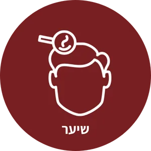 שיער - לי דניאלס